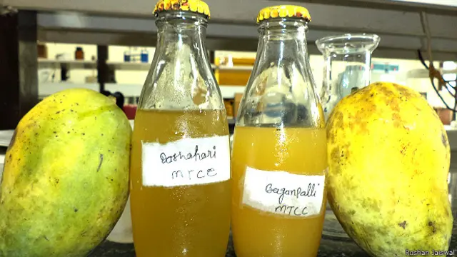 मैंगो वाइन