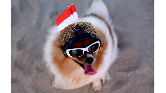 Perayaan HUT RI ke-71