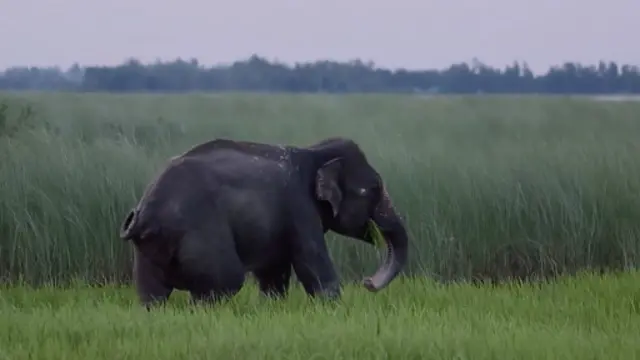 கோப்புப் படம்