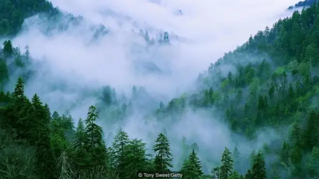 大煙山是美國訪客最多的國家公園（圖片來源：托尼·斯威特 [Tony Sweet]/蓋蒂圖片社）