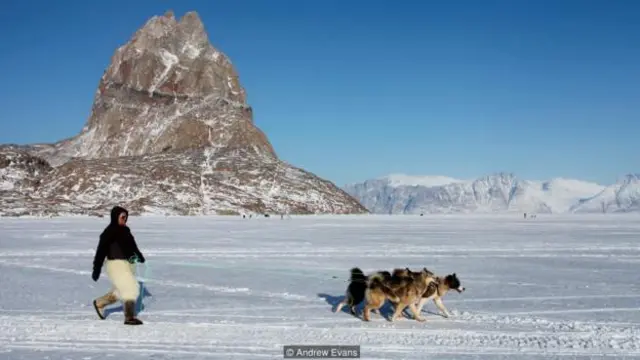 一名穿著北極熊毛皮褲子的當地人在冰上行走(圖片來源:安德魯·埃文斯)