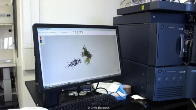 通过绘制烟雾的分析结果，该实验小组能够区分鱼的种类。(图片来源: Chris Baraniuk)