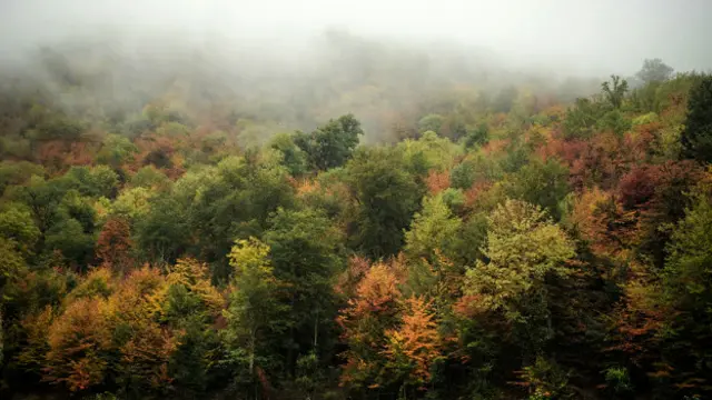 ???????? ??????? ?? ????? ????? ????? ????? ??? ????? ??? ???