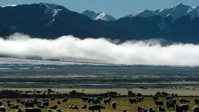 Нова Зеландія дозволяє британцям втекти достатньо далеко від Бориса Джонсона
