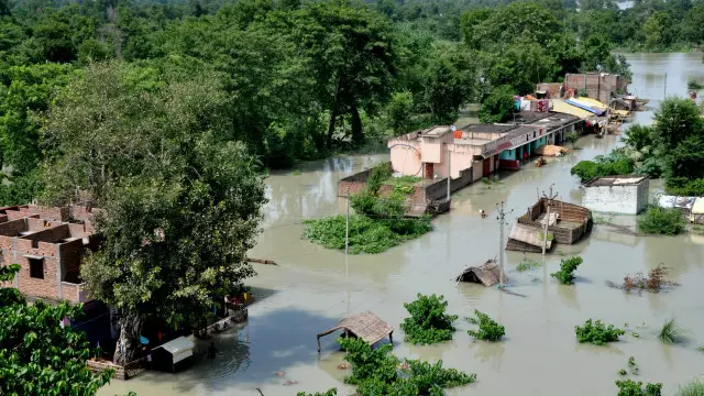 कोशीको बाढीले भारतको बिहारमा बेला बेला निकै क्षति पुर्याउने गर्छ