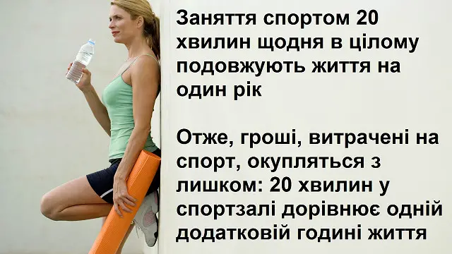 Спорт