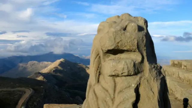 (图片来源：约瑟夫·弗莱厄蒂)