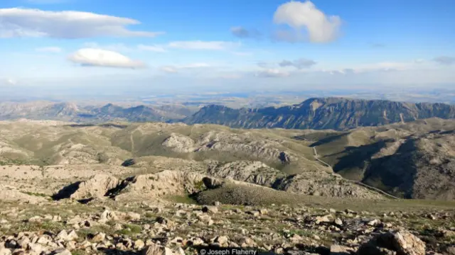 (图片来源：约瑟夫·弗莱厄蒂)