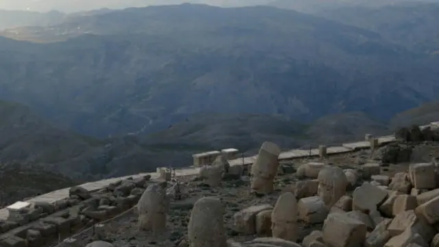 (图片来源：约瑟夫·弗莱厄蒂)