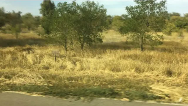 Кордон з Кримом