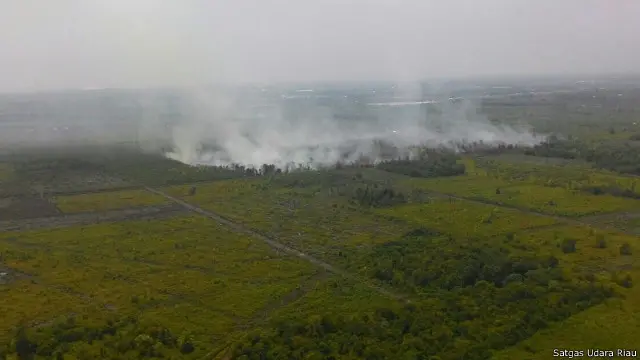 Kebakaran hutan dan lahan dikhawatirkan terus berlanjut apabila upaya hukumnya tidak serius. 