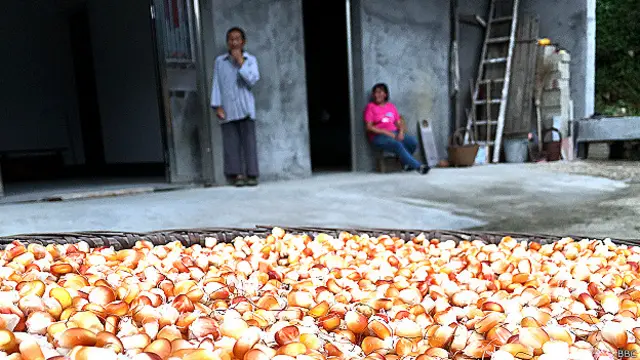 தளர்ந்துவிடாத நம்பிக்கை