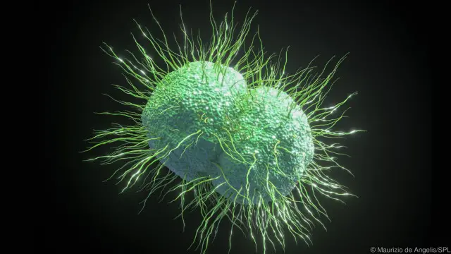 Gonorrhoea, sifilis dan chlamydia sudah ada sejak lama.