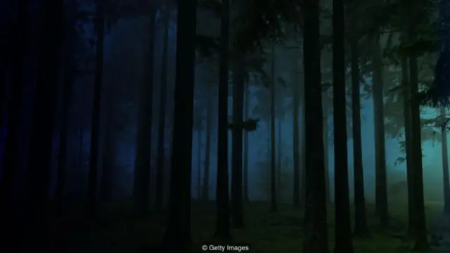 雖然對視力正常的人而言，想要不經視覺線索就弄清自己所處的方位，實屬不易；但大腦可以學著借助其它感官來獲取新的線索（圖片來源：Getty Images）