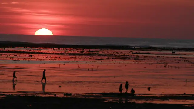 Setiap hari, selama lebih dari 10 minggu, minyak bumi yang cukup untuk mengisi 10 kolam renang ukuran Olimpiade, tumpah ke Laut Timor.