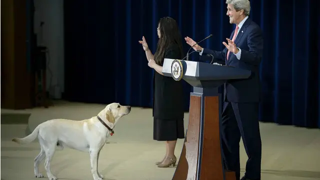 Собаки могли б багато чого розповісти про своїх господарів