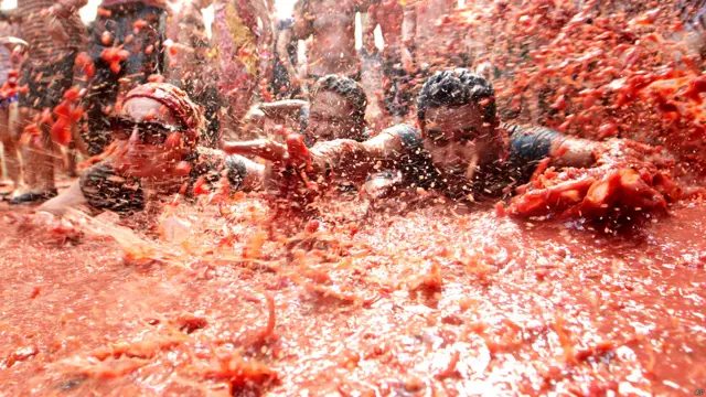 टोमाटीना