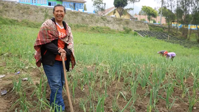 Bu Guwi dan ladang yang dipenuhi bawang prei. 