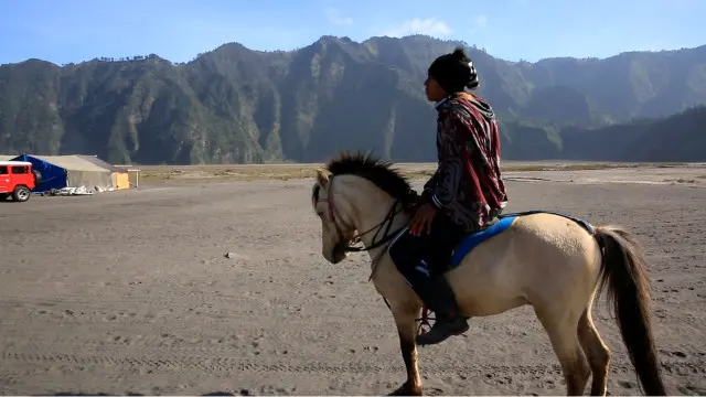 "Untuk urusan wisata paling tidak supaya saya tidak dibohongi," kata Aji. 