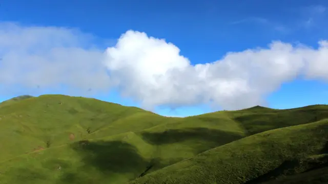 badimalika, nepal, farwest, nature