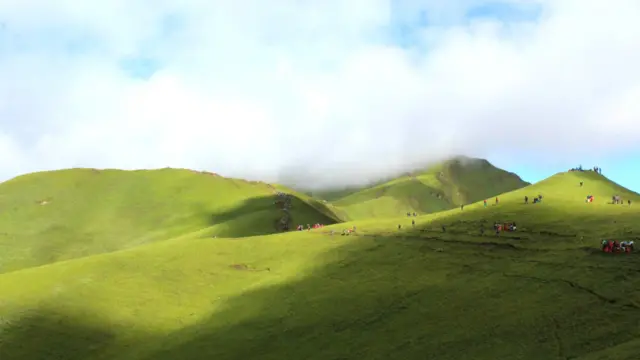 badimalika, nepal, farwest, nature