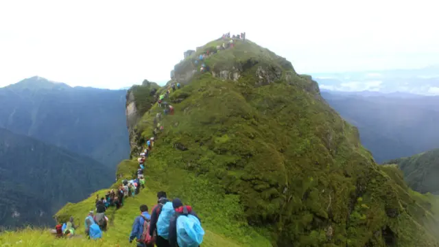 badimalika, nepal, farwest, nature