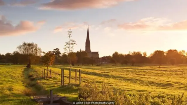 黎明時分的索爾茲伯裏大教堂（Salisbury cathedral）和水草地（圖片來源：Julian Elliott Photography/Getty)