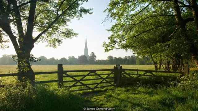 從漢哈姆的水草地看到的索爾茲伯裏大教堂的尖塔（圖片來源：James Osmond/Getty)
