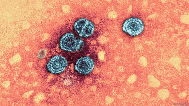 Manusia pra-sejarah diduga memulai bermonogami untuk menghindari penyebaran penyakit menular seksual.