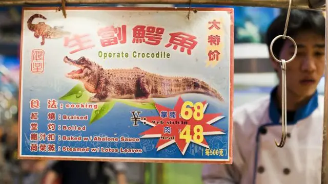 鳄鱼肉在中国成了时尚？
