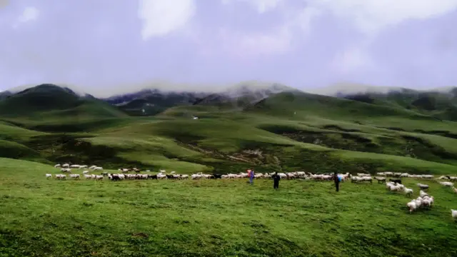badimalika, nepal, farwest, nature