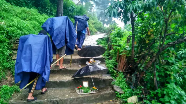 badimalika, nepal, farwest, nature