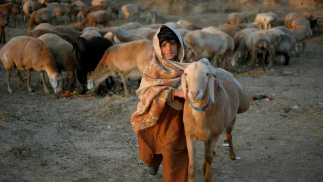 نہ مجھے اس کے جوار میں پھیلی، جڑی بوٹیوں اور مبینہ قیمتی پتھروں سے غرض تھی۔ نہ ہی بکر والوں کے گلے مجھے لبھاتے تھے
