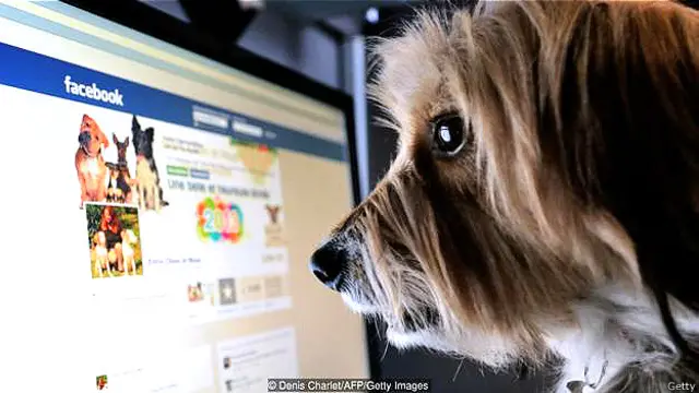 डॉग फ़ेसबुक