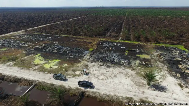 Lokasi kebun kelapa sawit yang terbakar di lahan konsesi milik PT APSL di Riau.