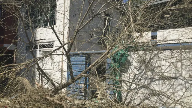 قدرت انفجار باعث کنده شدن درختها در محل شده است 