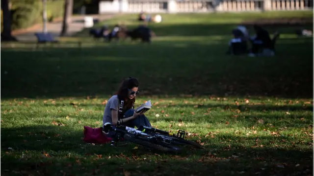 читання восени