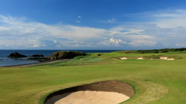 鯊魚頜骨中約有 180 顆來自史前物種巨齒鯊(Carcharocles megalodon)的龍齒(圖片來源:Getty Images)