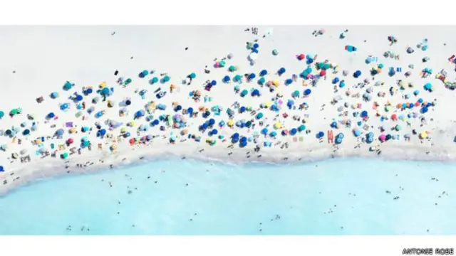 دا ځل ټاکل شوې چې شانګهای کې ۵۰ نړيوال انځوريز البومونه نندارې ته وړاندې شي چې په هغو کې د ايليت رټ، مارټن پير، ډايدو مرياما، هرب رټز او انتوني روز تصويرونه شامل دي.