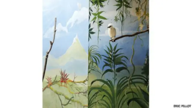 ايرک پايلټ له کلونو راهيسې له ګواښ سره د مخامخ مرغانو او حيواناتو انځورونه اخلي.