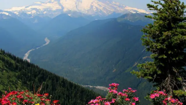 华盛顿州瑞尼尔山国家公园（图片来源：图片来源：Annika Hipple)