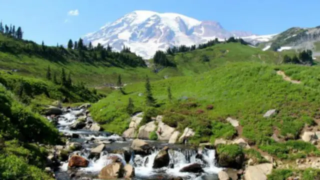 瑞尼尔山是美国本土 48 州中冰川最多的山峰。（图片来源：Annika Hipple)