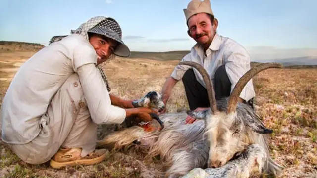 （圖片來源：Pascal Mannaerts)