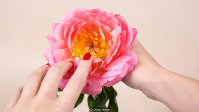 Không có mức độ ‘đúng’ cho ham muốn; sự thay đổi là quy tắc (Ảnh: Olivia Howitt)