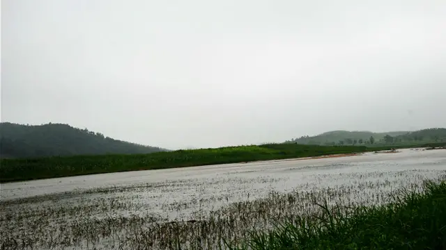 70多年未遇的“天气现象”袭击了该国的北部地区，造成了“巨大的损失。