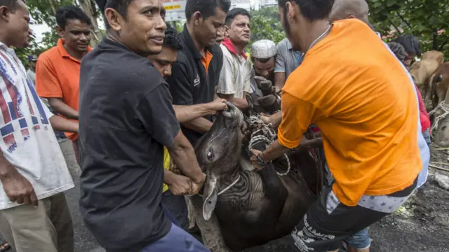 Rohingya di Malaysia