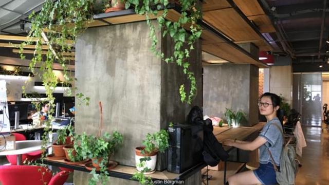 依图希望通过覆盖植被的公共餐桌来营造温馨的氛围，让员工把公司当成“远离家的家”(图片来源：Justin Bergman)