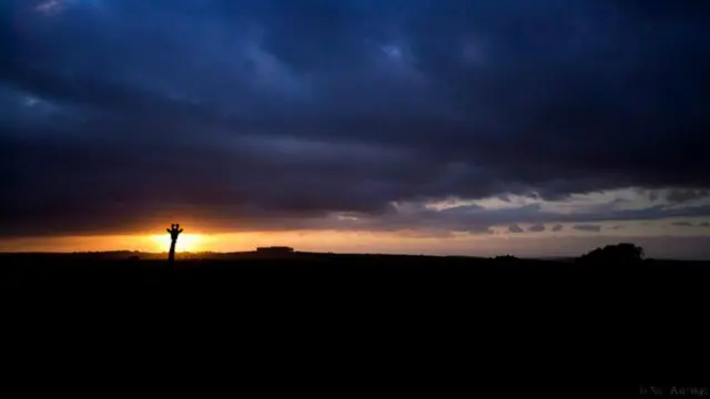 Khi chụp cảnh đời sống hoang dã, Neil nói điều quan trọng nhất là phối hợp với người hướng dẫn, người có thể "đọc" được cách phản ứng của những con vật ông muốn chụp và biết cách phán đoán thời điểm chúng không thấy căng thẳng khó chịu. Hình một chú hươu cao cổ trong ánh hoàng hôn, Khu bảo tồn Kariega Game Reserve, Nam Phi