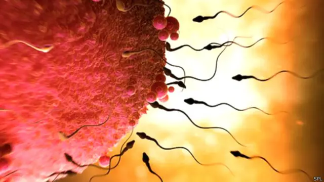 科学家们说,早期的实验表明,未来有一天有可能无需卵子而造出婴儿。