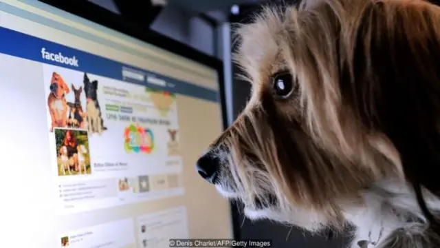 在法国里尔,就连宠物狗也在使用社交媒体(图片来源:Denis Charlet/AFP/Getty Images)